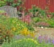 Pretty and colorful native plant garden with gray, wooden bench.