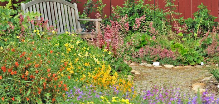 Pretty and colorful native plant garden with gray, wooden bench.