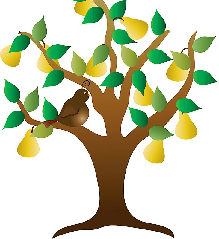 Color illustration of a stylized tree with yellow pears and green leaves and a brown partridge perched on a limb.