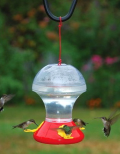 Types of bird feeders | Welcome Wildlife.com