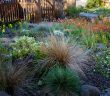 Colorful flower garden