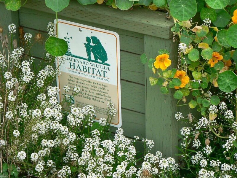 Sign on a fence denoting that what lies beyond is land for a wildlife habitat.