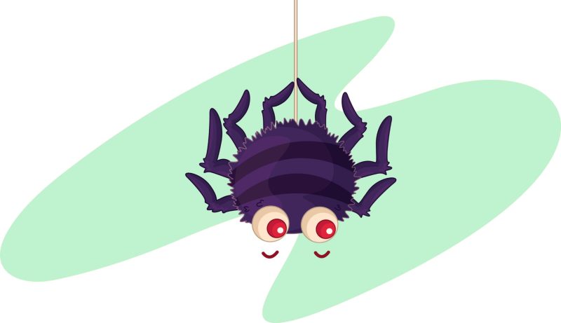 Cartoon of a round spider dangling from the end of its silk line.