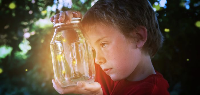 Several fireflies in a jar, with young boy looking at them.