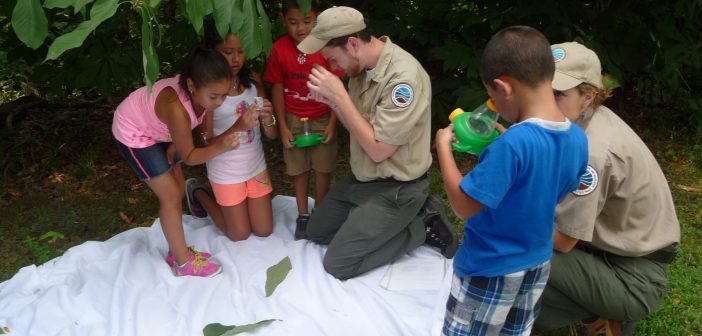 Four young children and two park rangers look at insects.