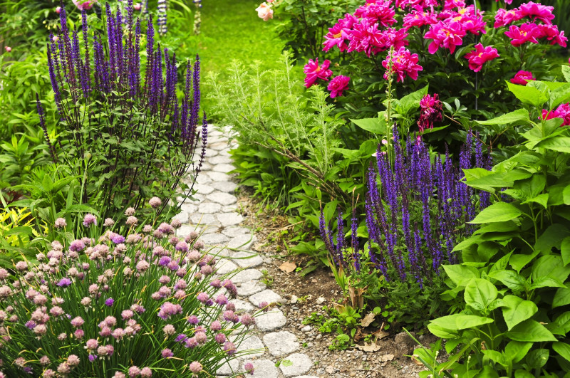 A pretty stone path with several kinds of flowers running along both sides of it.