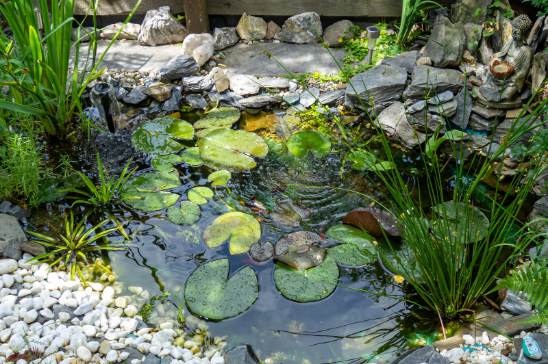 A small circular pond lined with stones has lily pads in it and plants around the border.